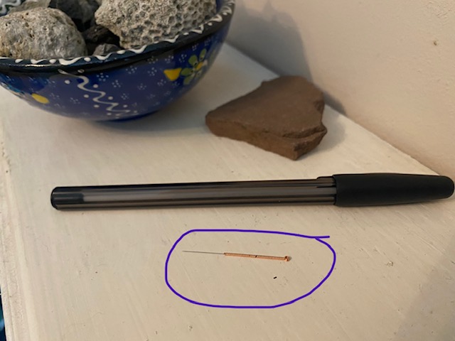 Acupuncture needle (circled) compared to a pen for size.