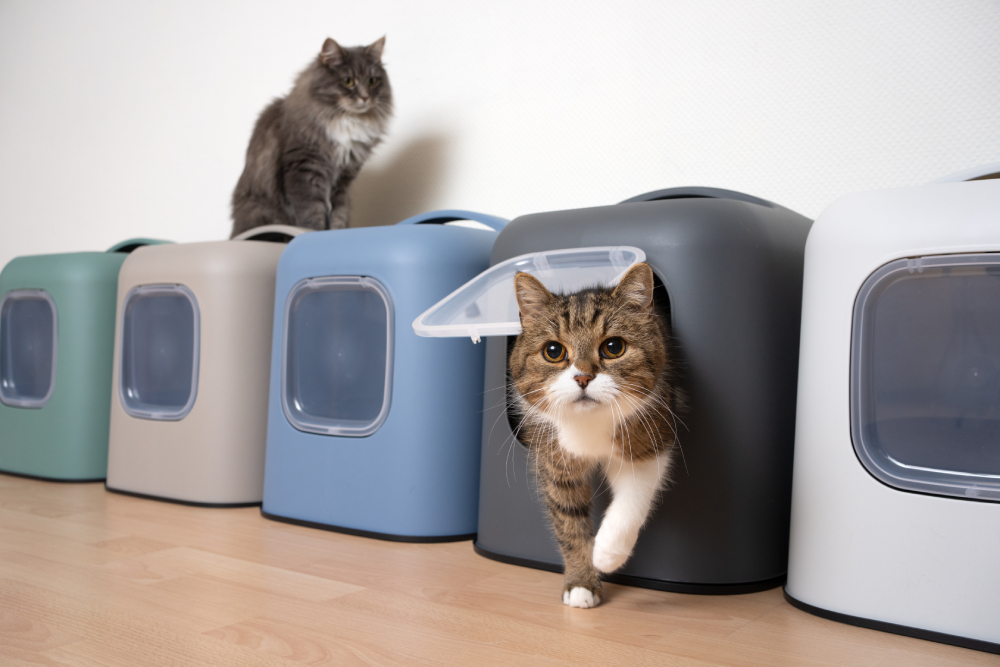 cat sitting on top of several litter boxes looking at another cat leaving toilet through flap