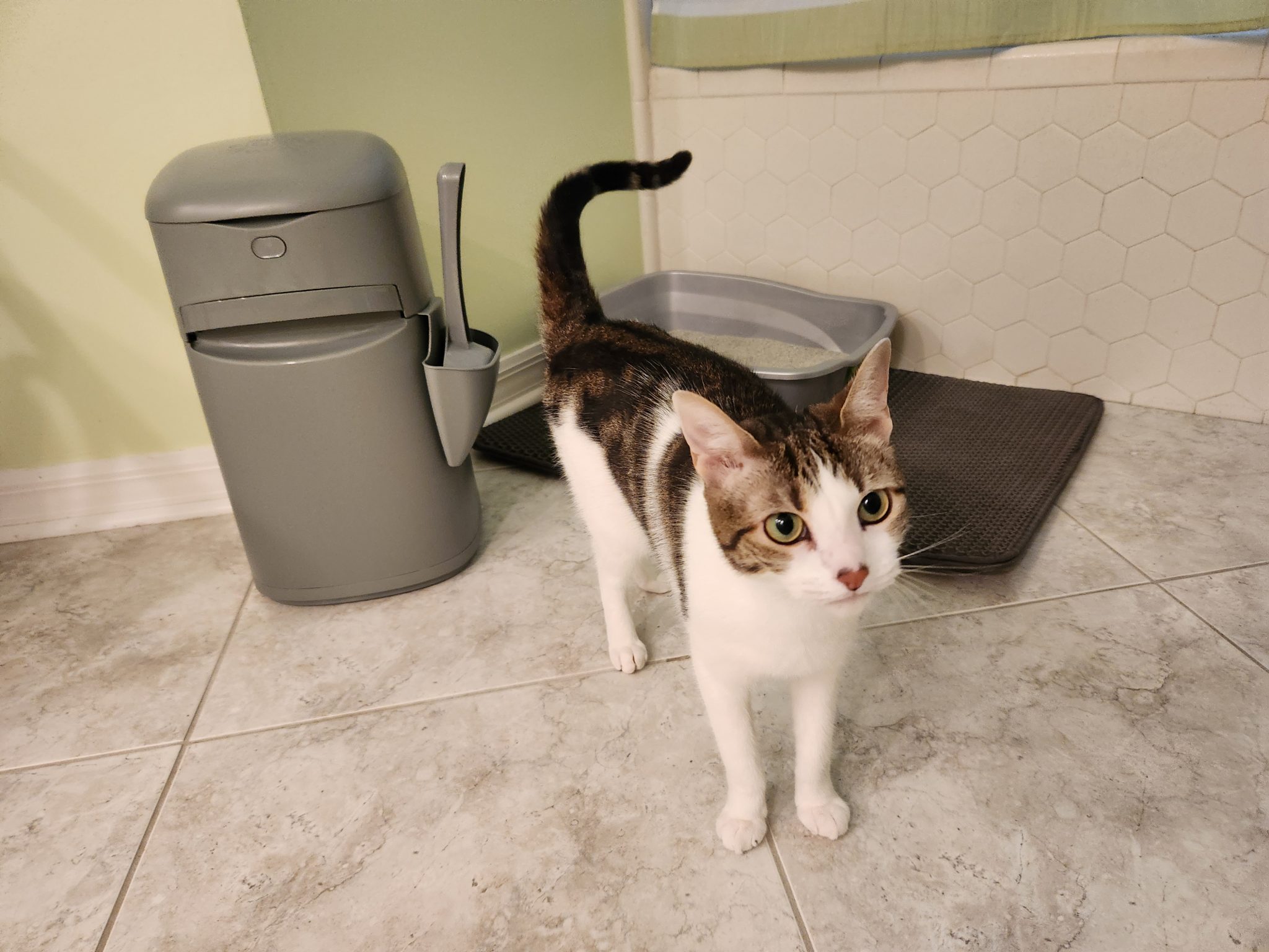 Litter Genie Cat Litter Pail