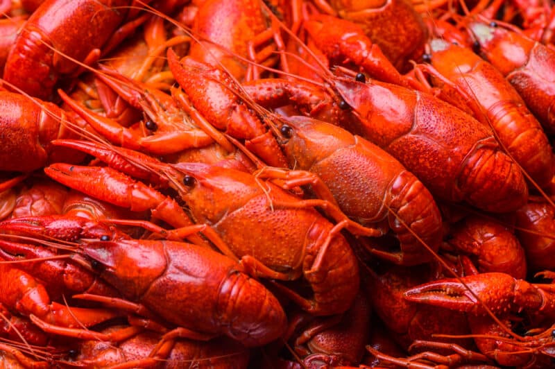 Boiled crawfish