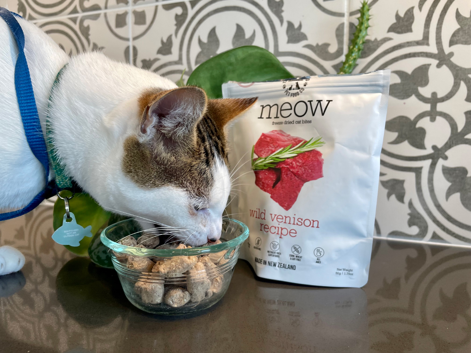 The New Zealand Natural Pet Food - makoa eating wild venison recipe