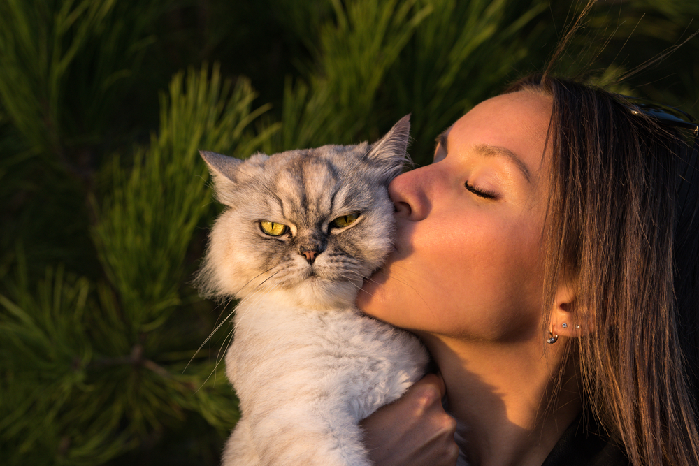 Woman giving a grumpy persian cat a kiss on the cheek