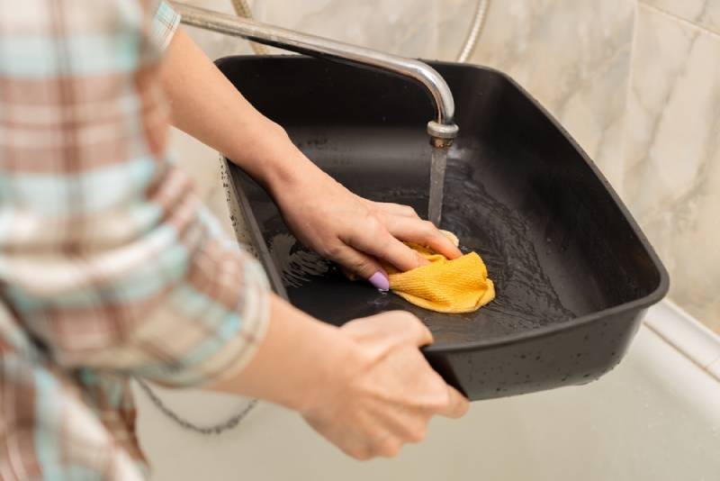 woman washing a cat litter box