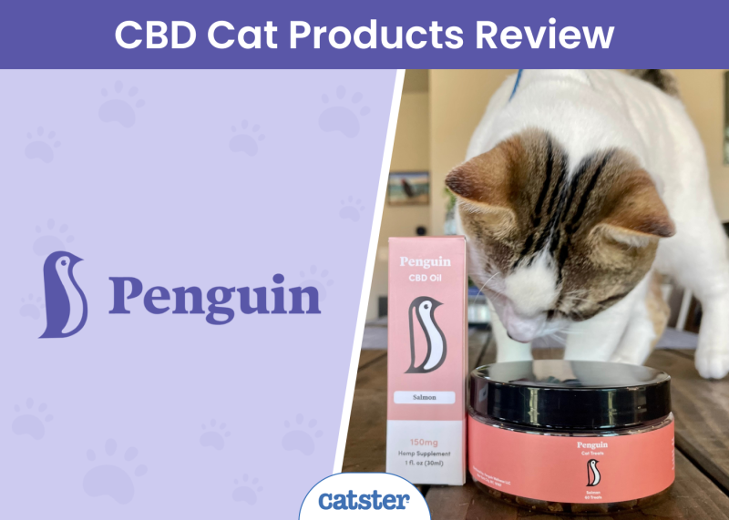 Penguin CBD Cat Products